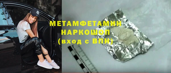 прущие грибы Михайлов
