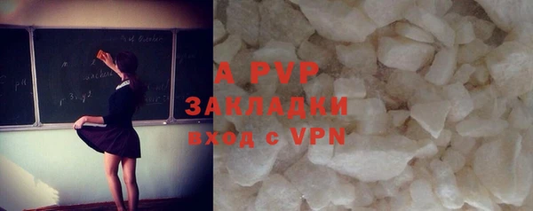 индика Михайловка